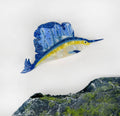 Sailfish Clip