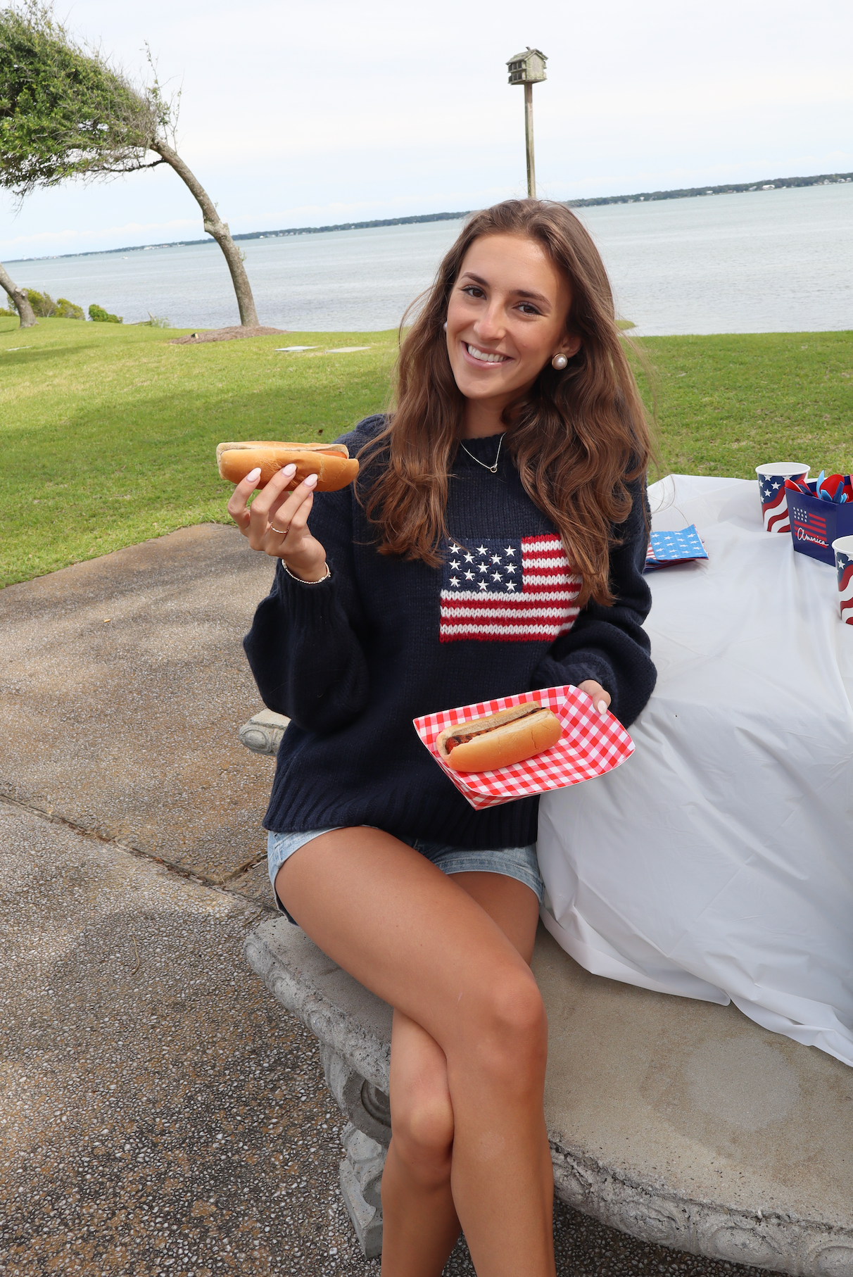 Party In The USA Sweater-Navy