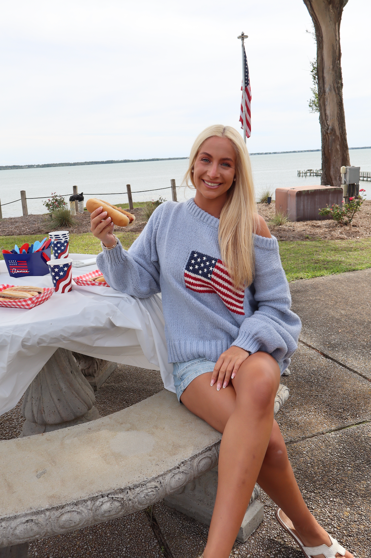 Party In The USA Sweater-Baby Blue
